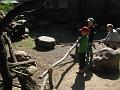 Zoo Cottbus 016
